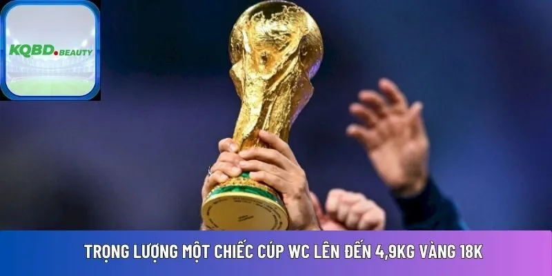 Trọng lượng một chiếc cúp WC